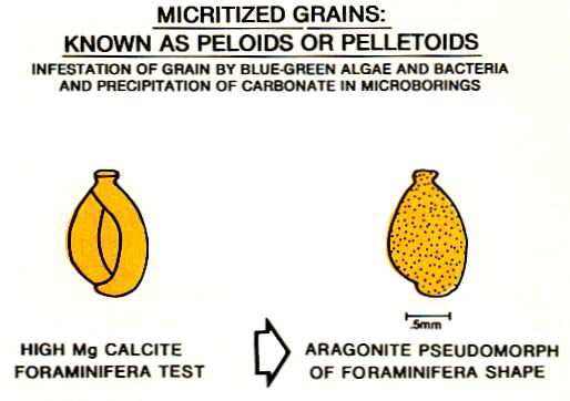 Formation of peloids