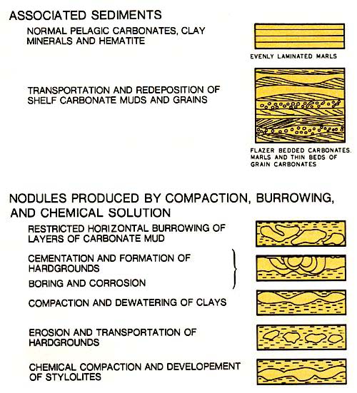 Development of nodular Carbonates in deep water