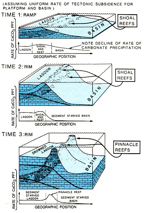 Development of steep reef margin and pinnacles furing Basin starvation