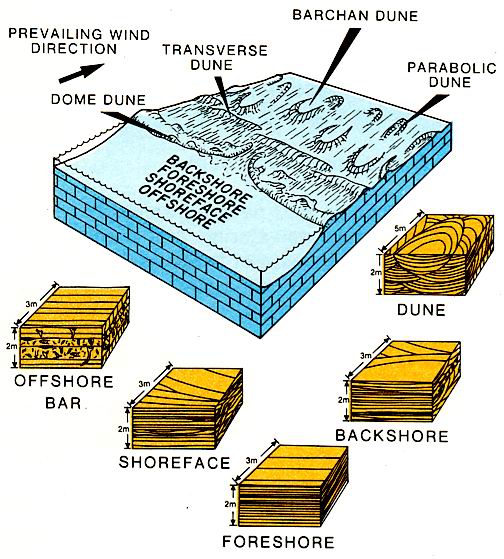 Carbonate dunes and Shoreline structures