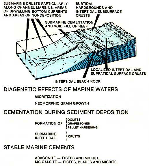 Zones of marine cementation