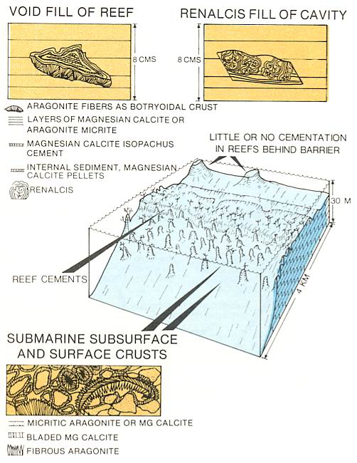 Reef Cementation