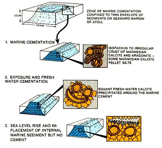 Paragenesis of cements from Eniwetok Atoll