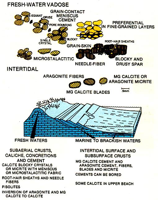 Near-shore cementation. Modified after Ward.