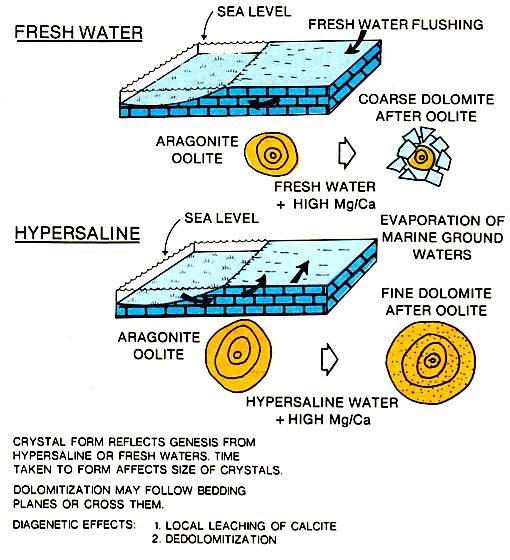 Types of dolomitization