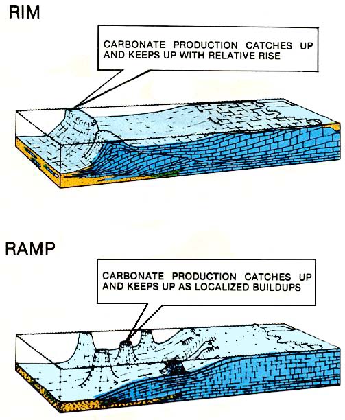 Permo-Carboniferous carbonate platforms and reefs Book