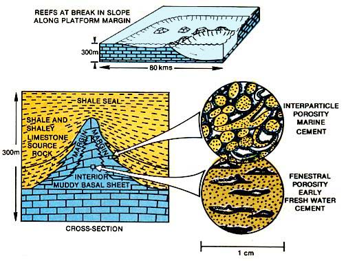 Bioherm formed during flooding