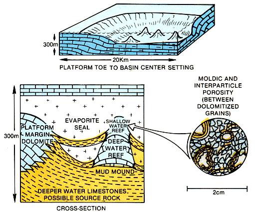 Bioherm formed after flooding