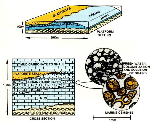 Prograding carbonate sand terminated by still stand.