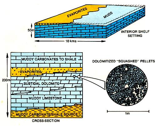 Prograding muddy carbonates