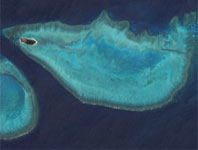 Heron Island Reef