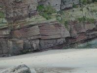 Devonian Harry Lock Formation