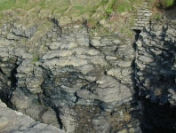 Lower Carboniferous Shelf Slop Carbonates