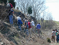 Silurian AA Highway Kentucky