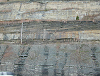 Pennsylvanian Breathitt Formation Fluvial