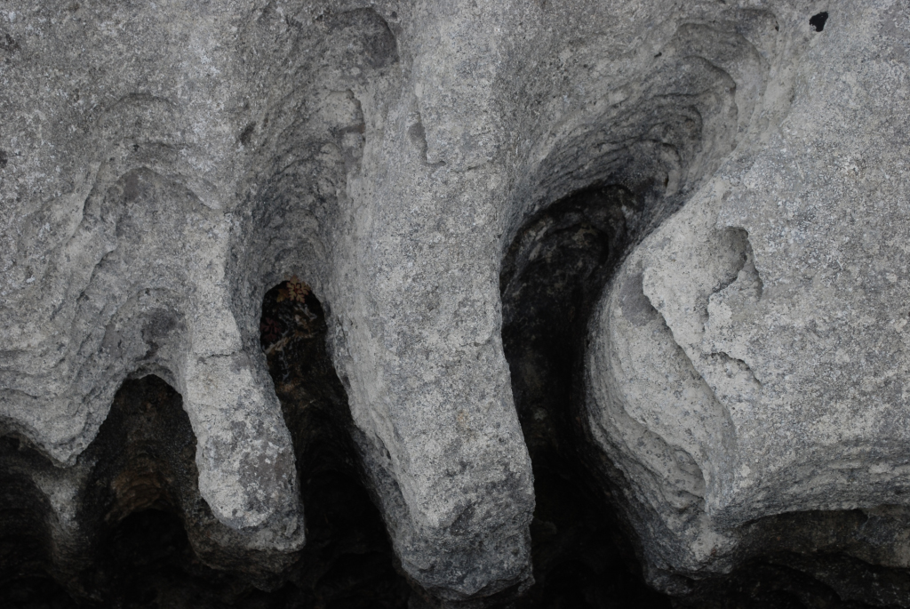Sheshymore Limestone Gallery - SEPM Strata
