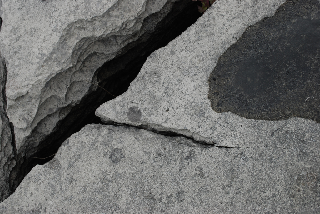 Sheshymore Limestone Gallery - SEPM Strata