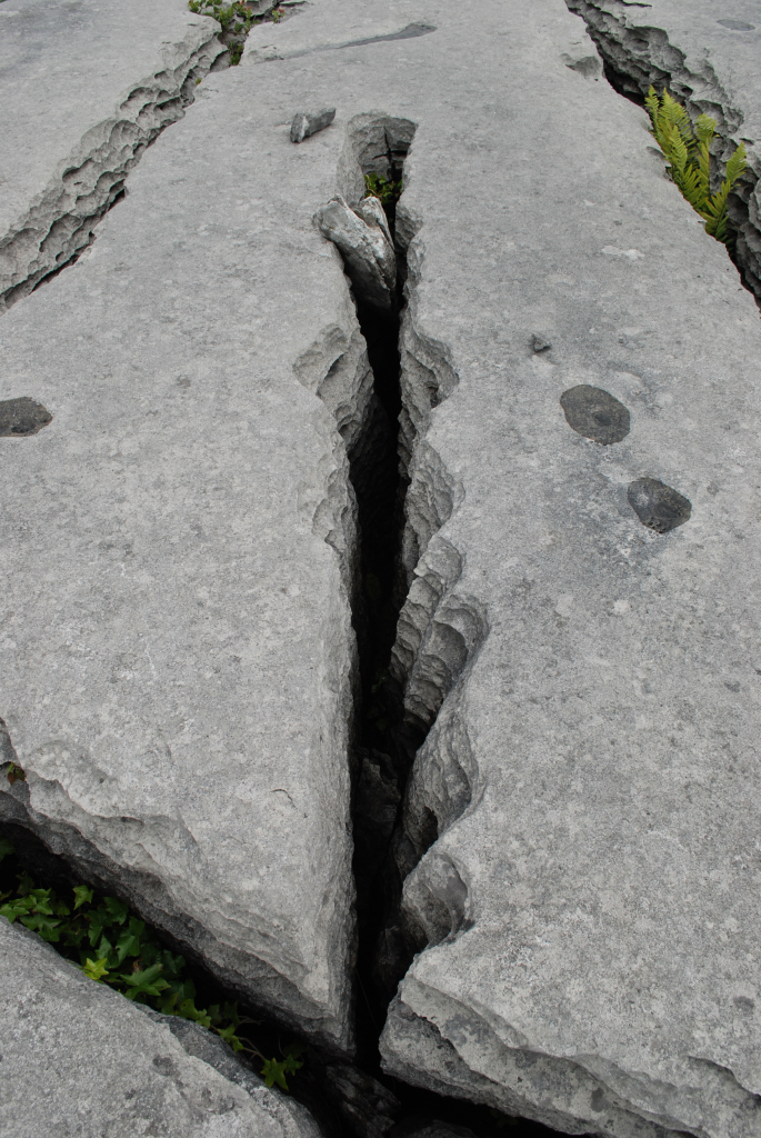 Sheshymore Limestone Gallery - SEPM Strata