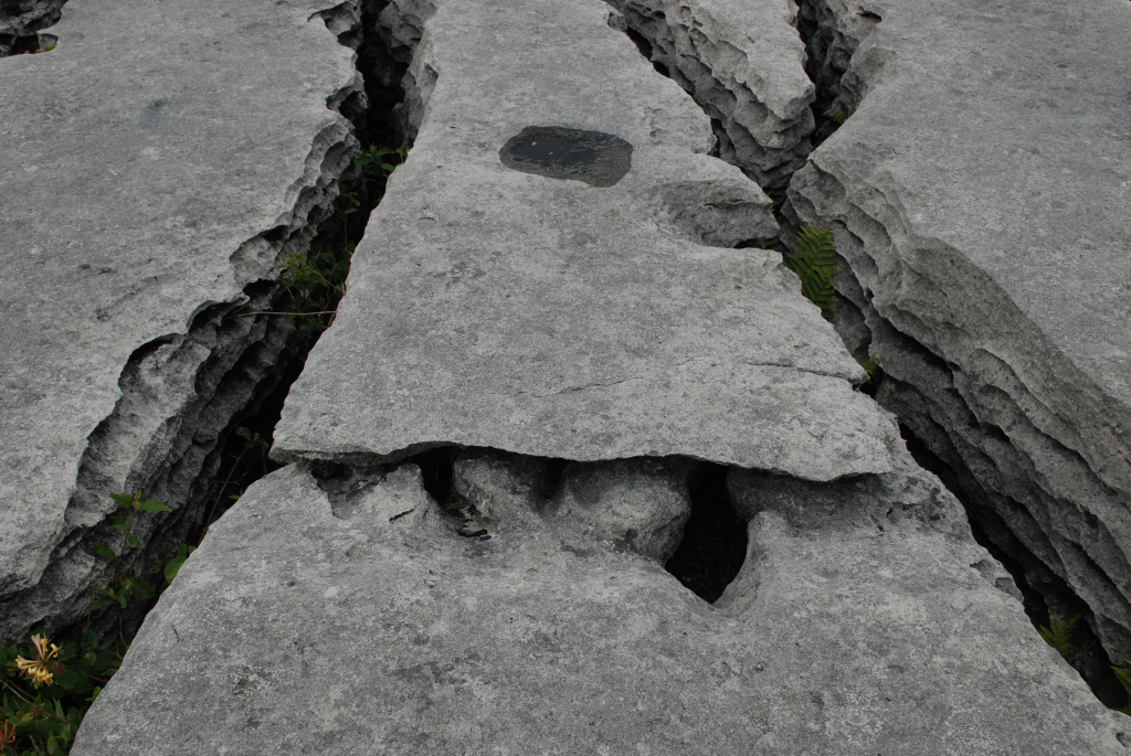 Sheshymore Limestone Gallery - SEPM Strata