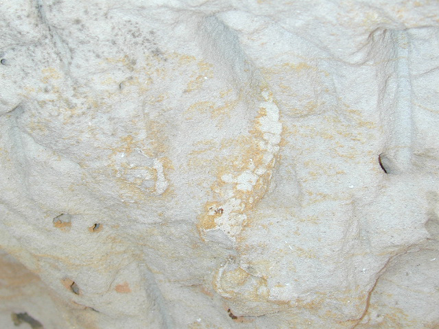 Peach Tree Rock - SEPM Strata